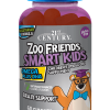 Zoo Friends Smart Kids DHA